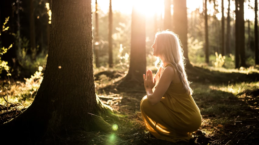 Image shows woman's connection to the earth, trees and the sun