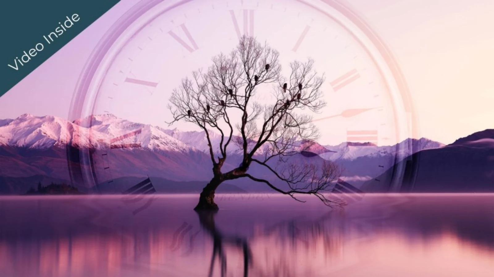 A tree on a luminous purple mountain landscape surrounded by a clock.