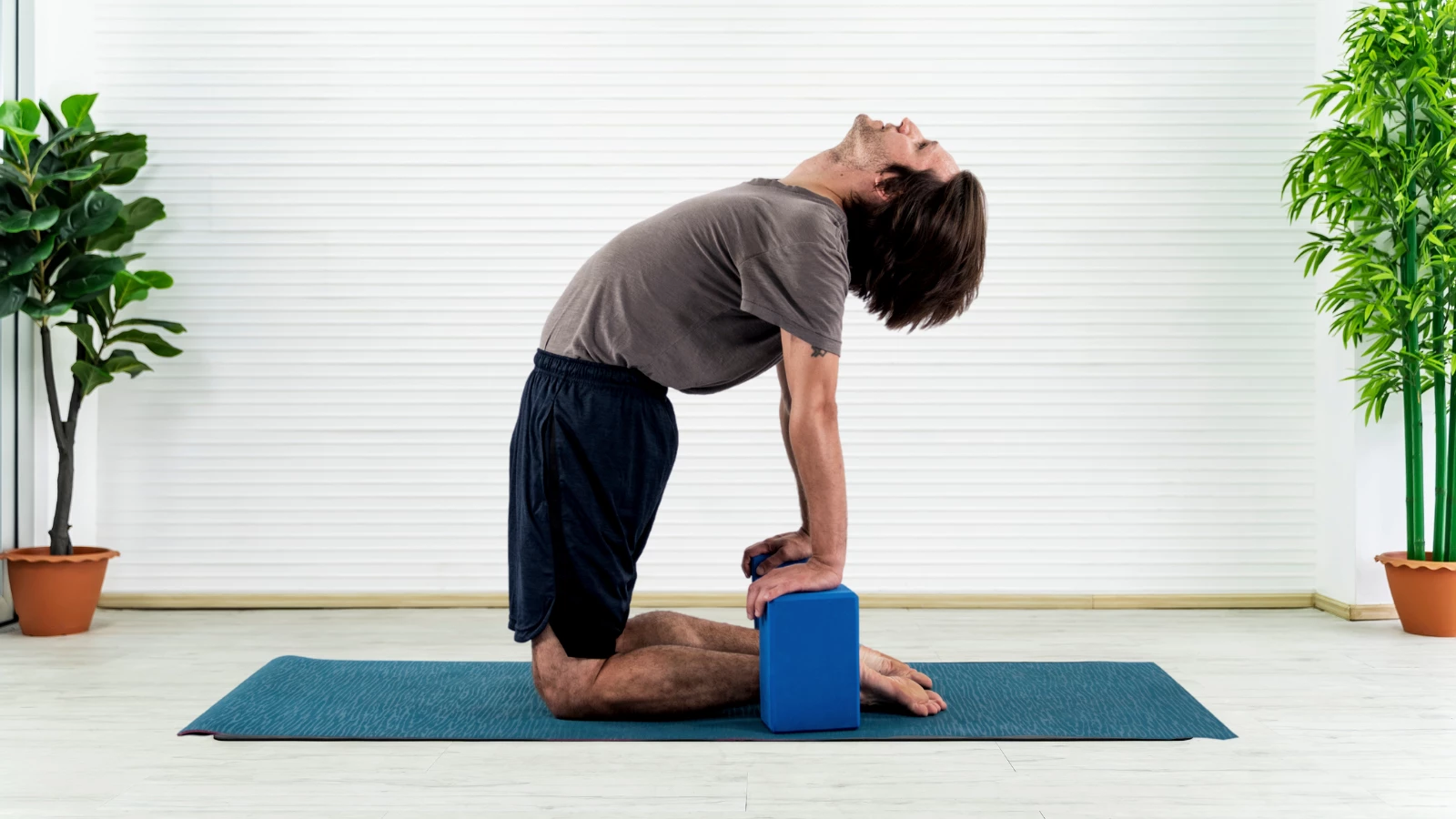 Camel Pose or Ustrasana Pose is a backbend pictured here practiced with yoga blocks