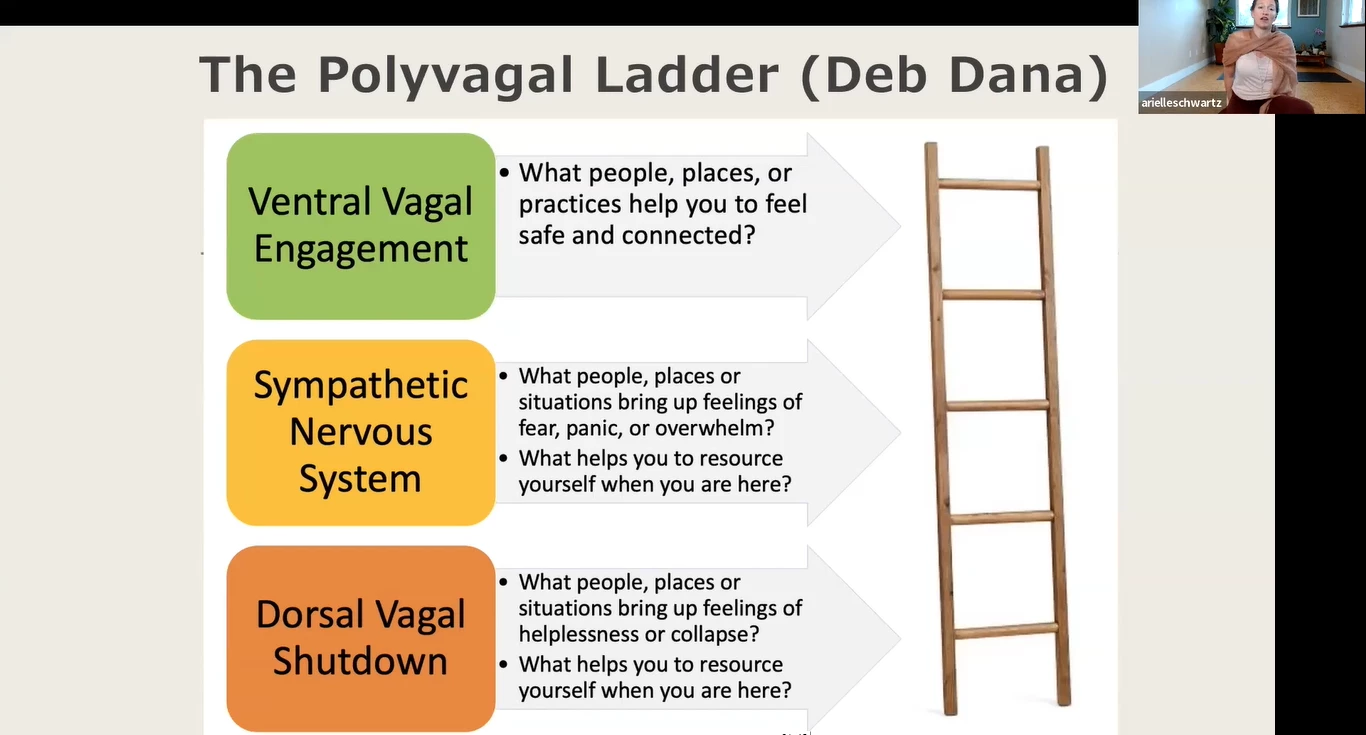 How Healthy Is Your Nervous System: Polyvagal Theory Made Simple - An Tâm