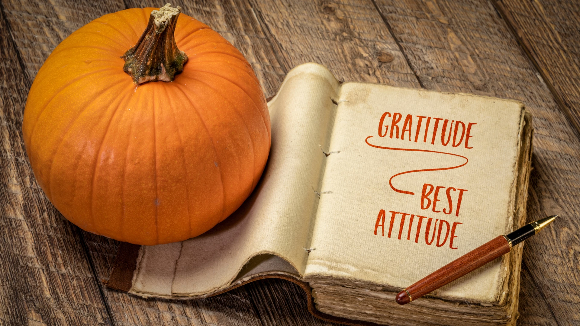 gratitude - best attitude, inspirational handwriting in a retro, leatherbound journal with a pumpkin against rustic wood, fall holiday and Thanksgiving theme.