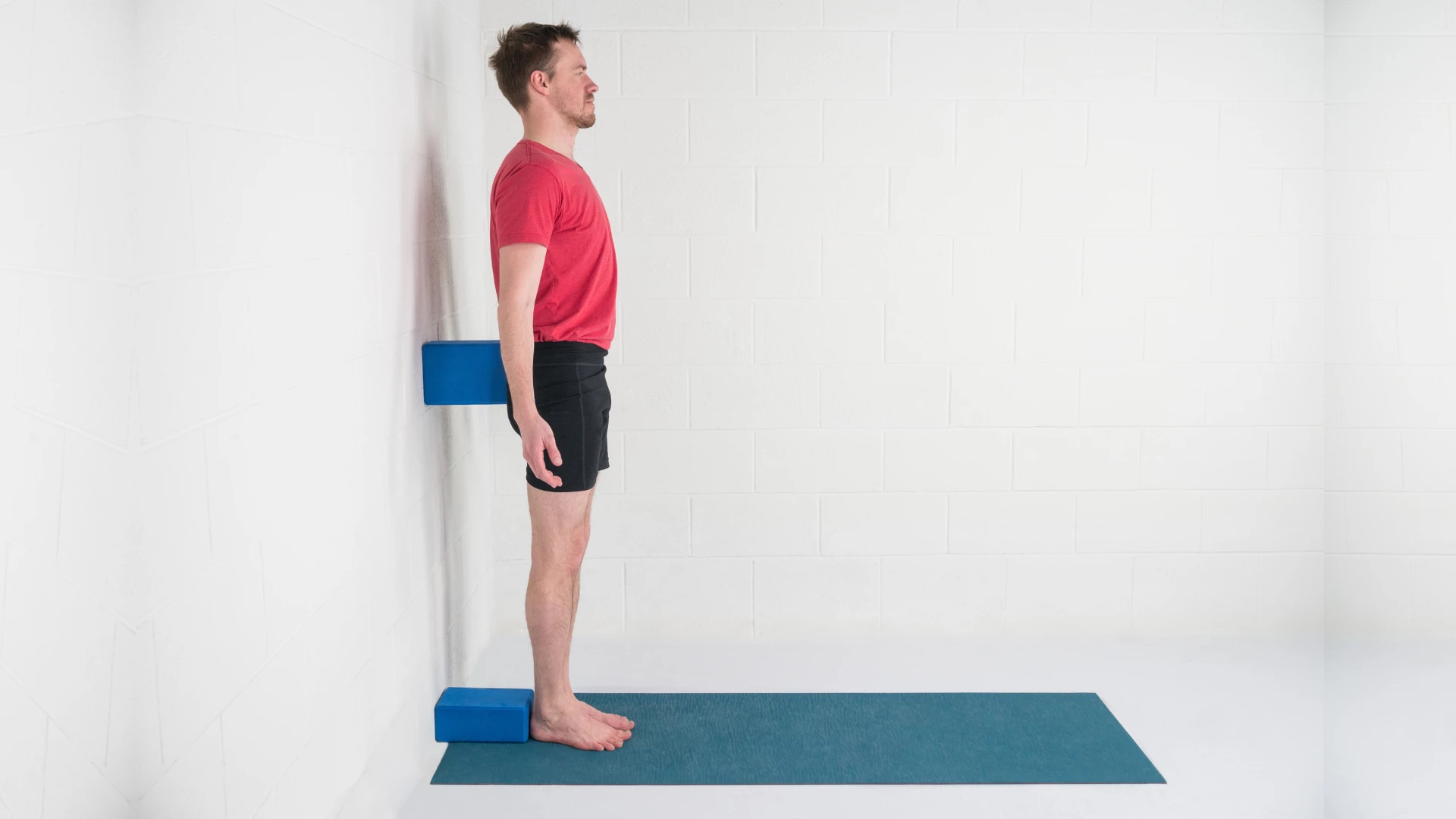 Mountain Pose with blocks on the wall