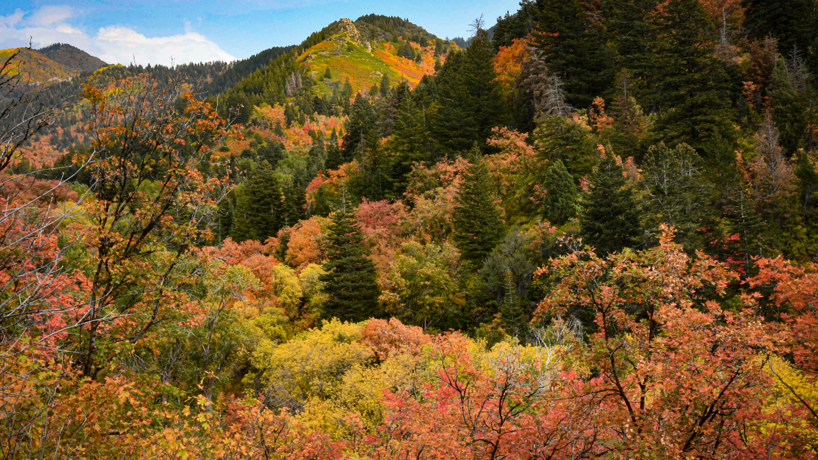 how spending time outside in the nature makes us healthier