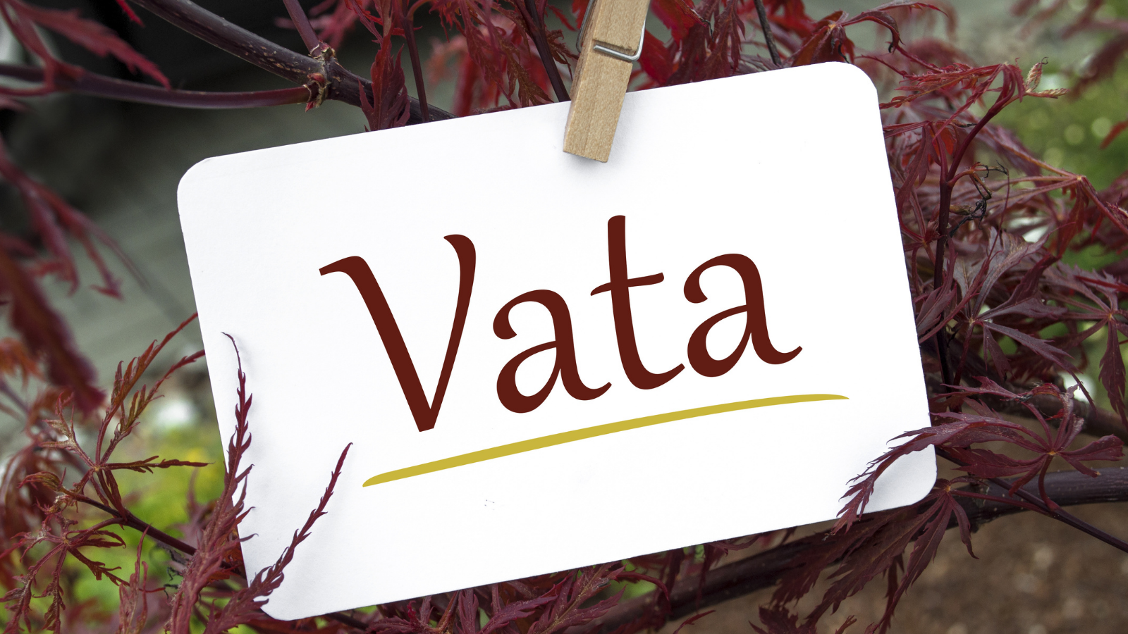 Graphic depicting Vata dosha, one of the Ayurvedic Doshas