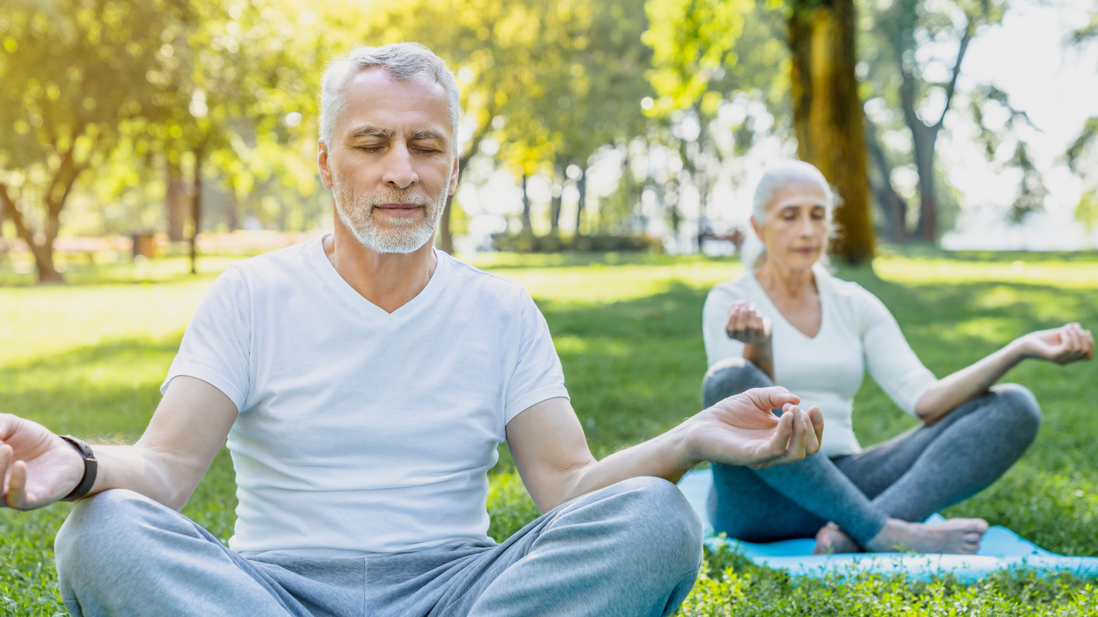 Yoga at park. Senior couple sitting in lotus pose on green grass in calm and meditation.