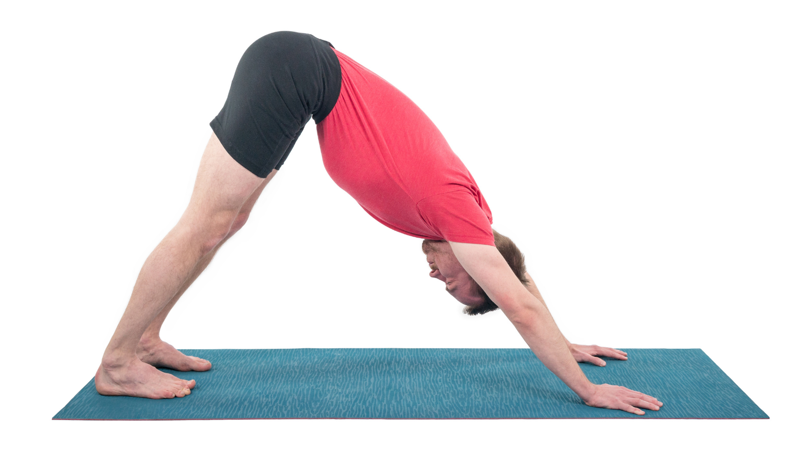 Downward Facing Dog Pose in yoga's iconic strengthening and lengthening pose.