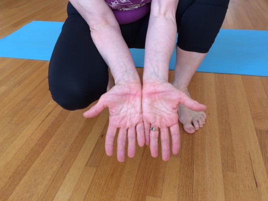 Downward Facing Dog Pose with props and wooden blocks