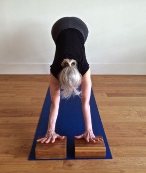 Downward Facing Dog Pose with hands on blocks