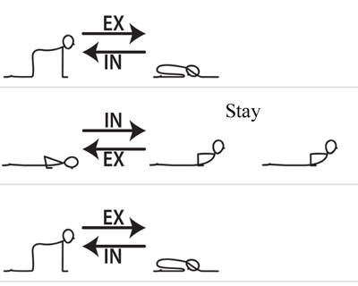 Image of a short yoga sequence featuring Cobra Pose.