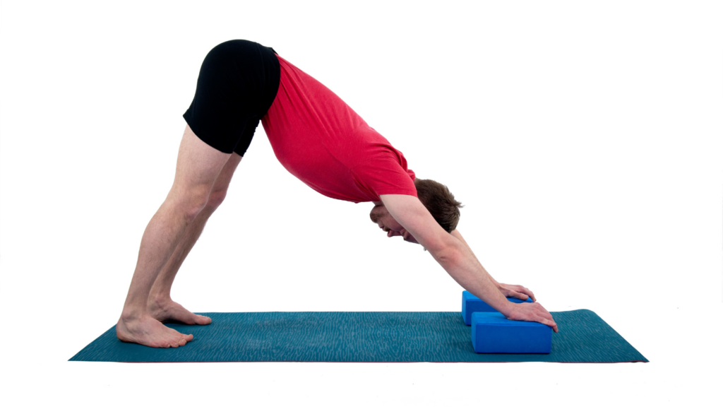 Downward Facing Dog with yoga blocks -- yoga alignment cues often include using yoga props