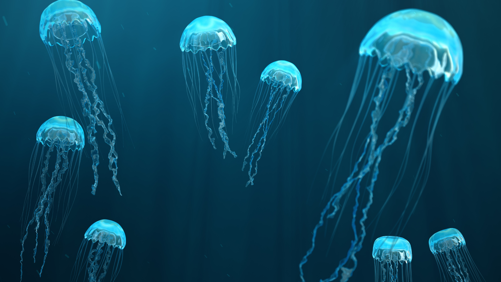 3D illustration background of jellyfish. Diaphragm breathing is like a jellyfish