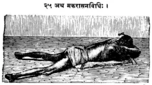 Halftone image of Makarasana in Yogasopana