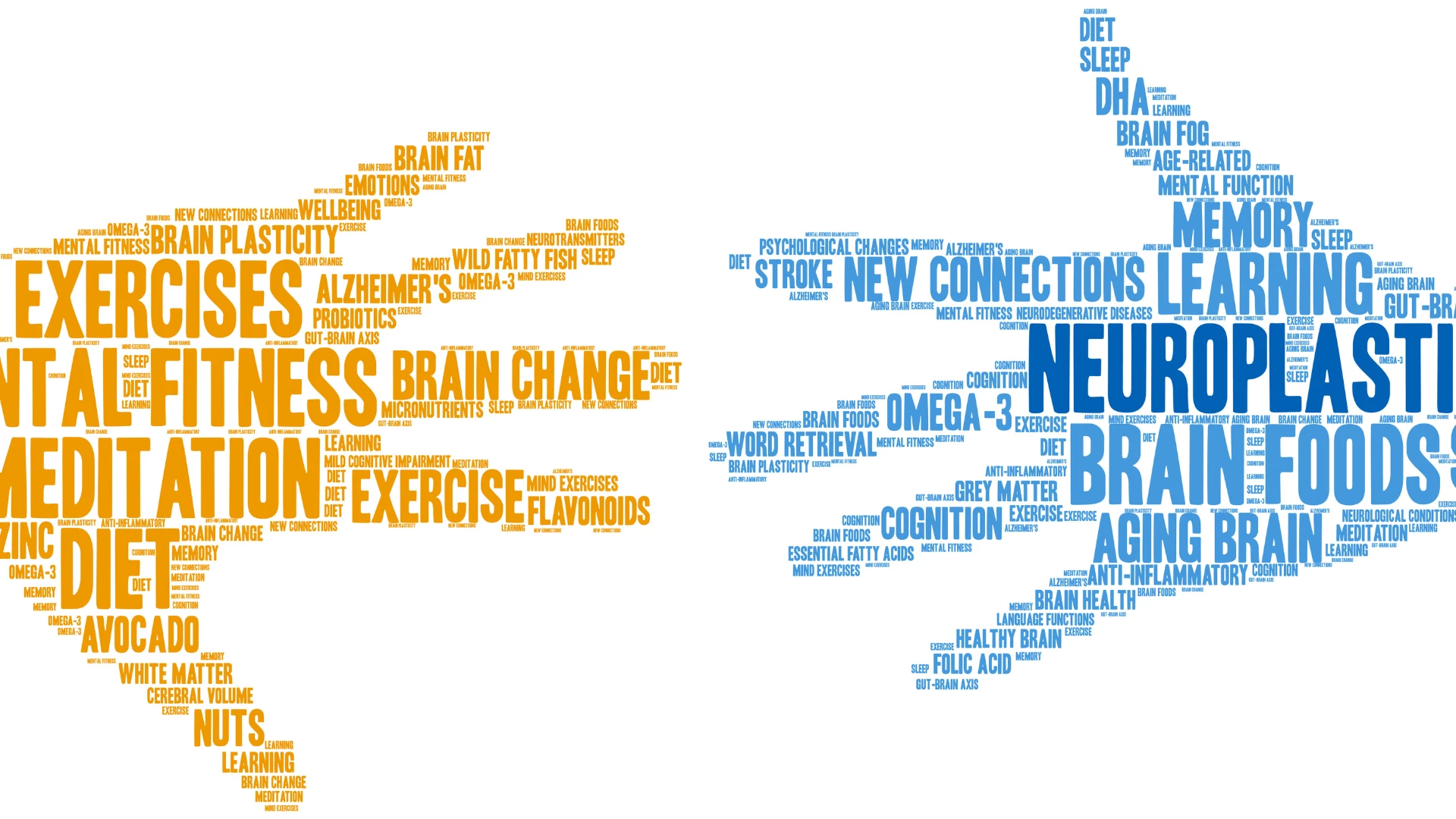 Neuroplasticity Brain word cloud on a white background. Concept of exercise and slow paced yoga being good for a healthy brain.