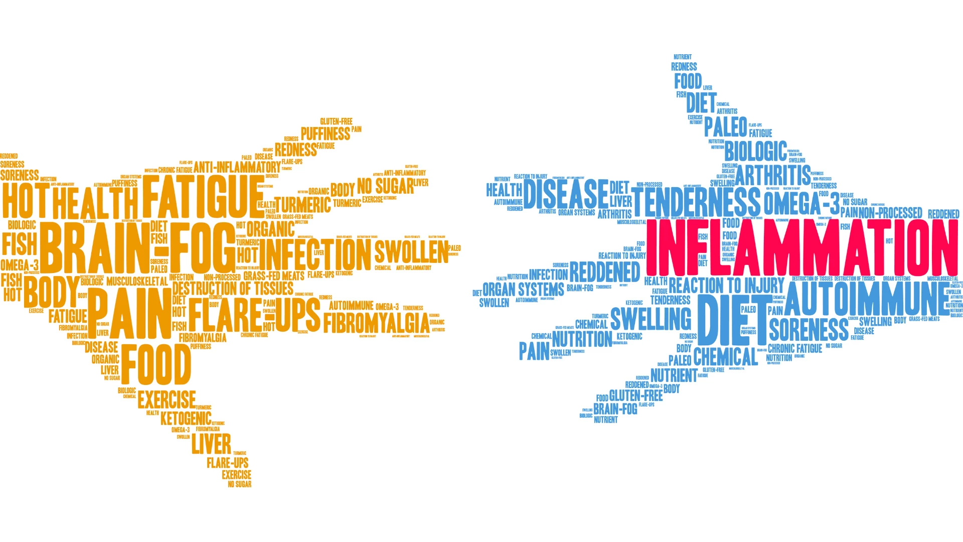 Inflammation word cloud on a white background. the health benefits of nutrition include reduction of inflammation.