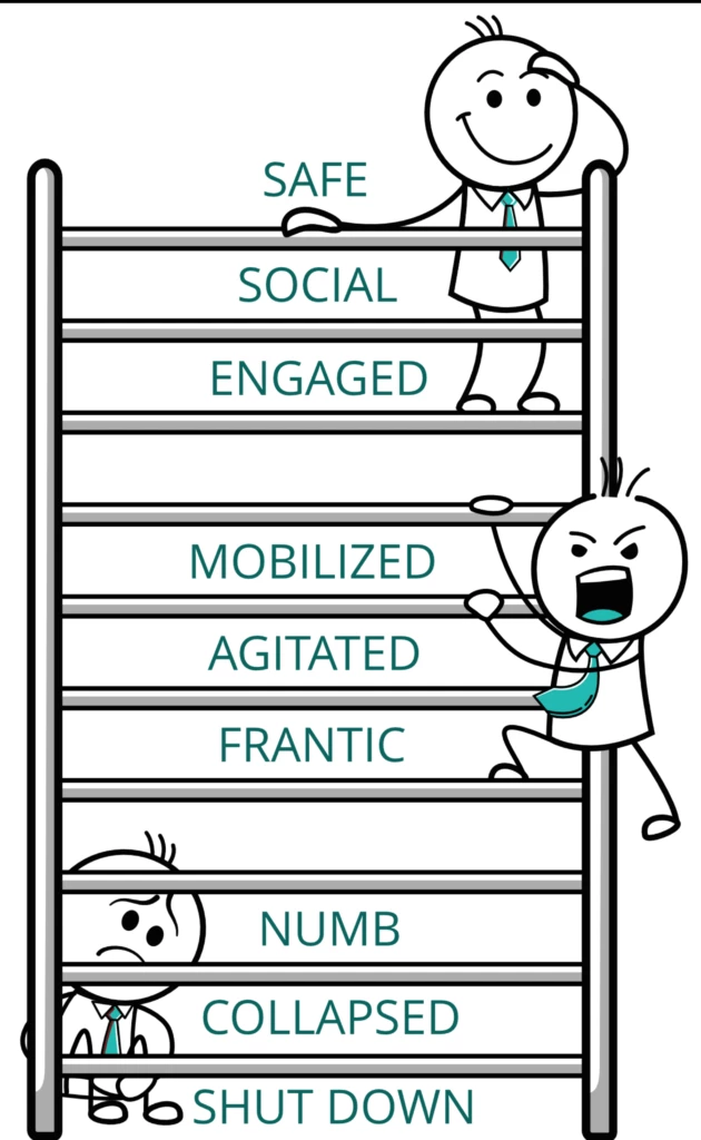 This is a ladder illustration that illustrates the causes of physical and mental suffering.