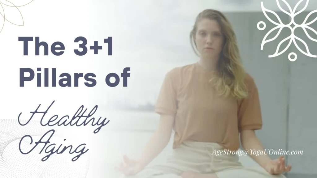 The 3+1 Pillars of Healthy Aging: Are You Missing the Most Vital Component?