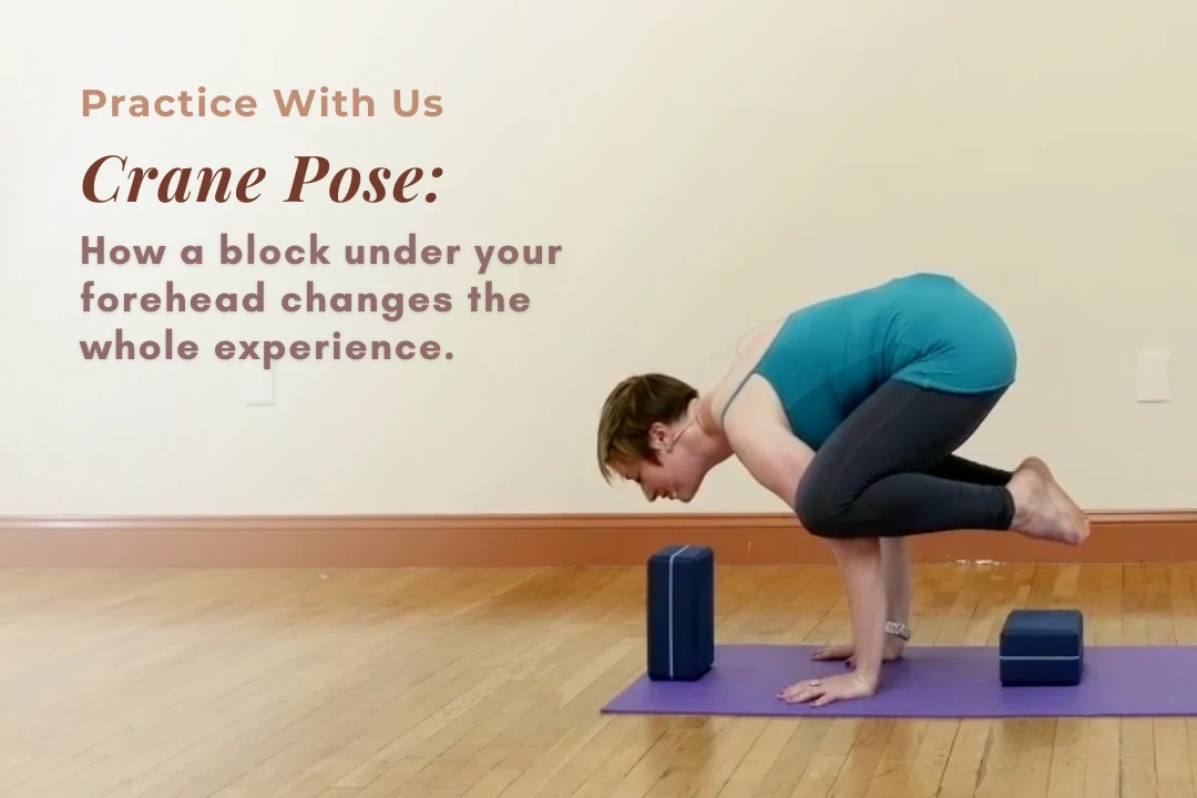 Kate Heffernan demonstrating Crane Pose (Bakasana) with knees on the upper arms and a block positioned under the forehead for support.
