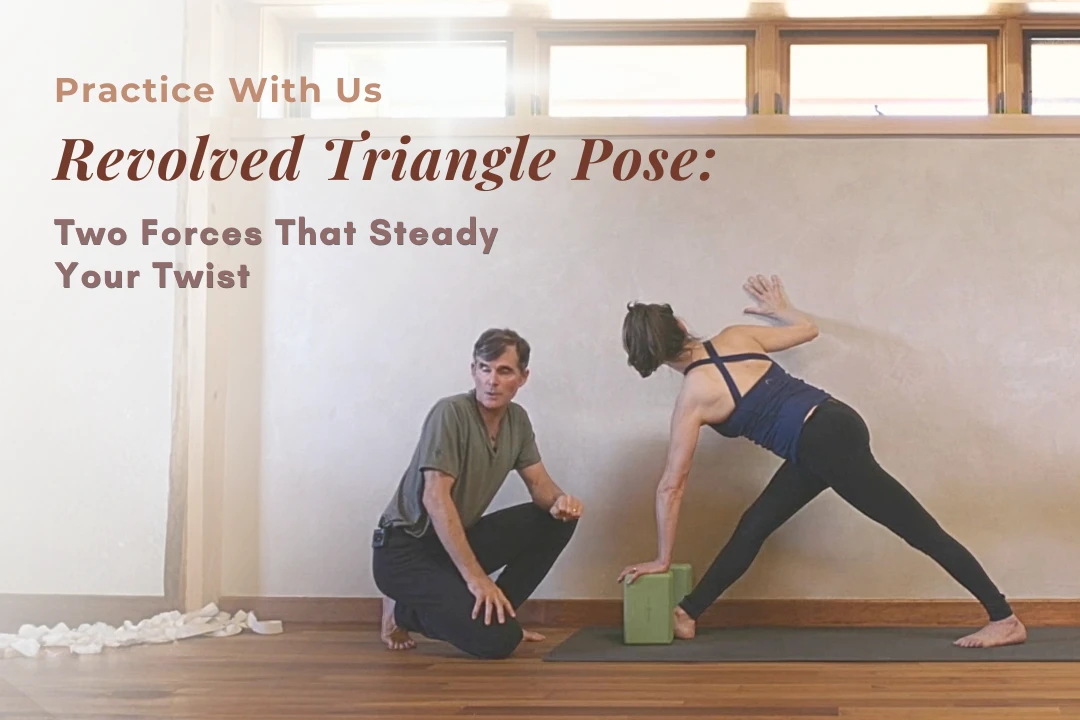 Revolved Triangle Pose — Tias Little demonstrating Revolved Triangle Pose (Parivrtta Trikonasana) with a block under the bottom hand and chest spiraling open toward the ceiling.