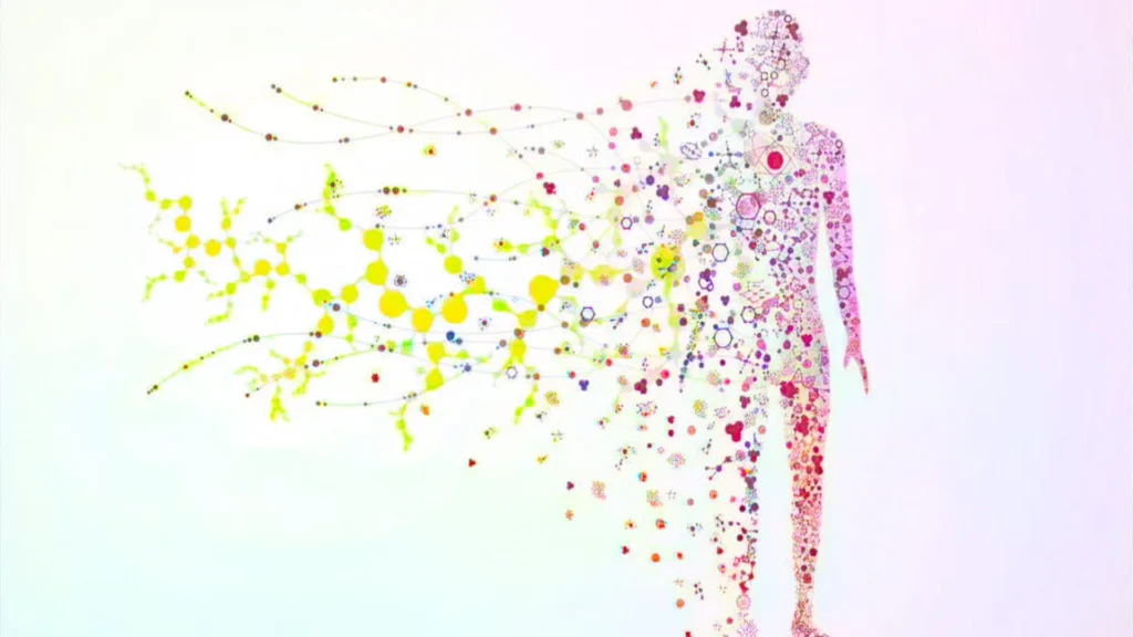 330 Billion Cells a Day: Your Body's Internal Renewal Process and What Trips It Up